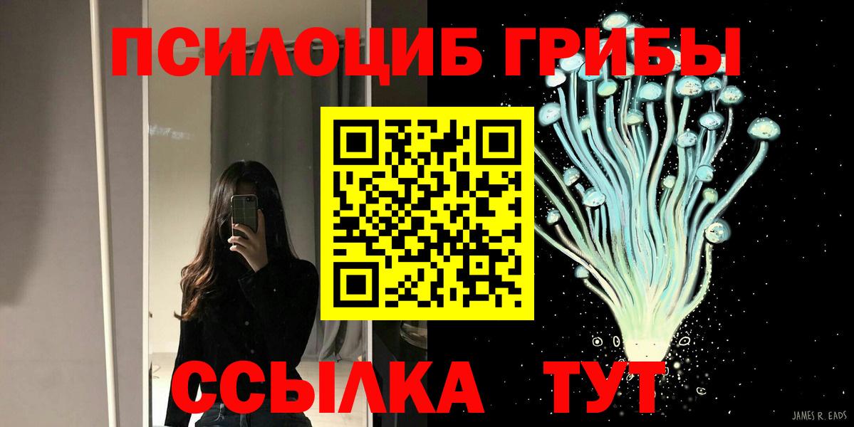 где можно купить наркотик  Галлюциногенные грибы мицелий  Вход с VPN  Апатиты 