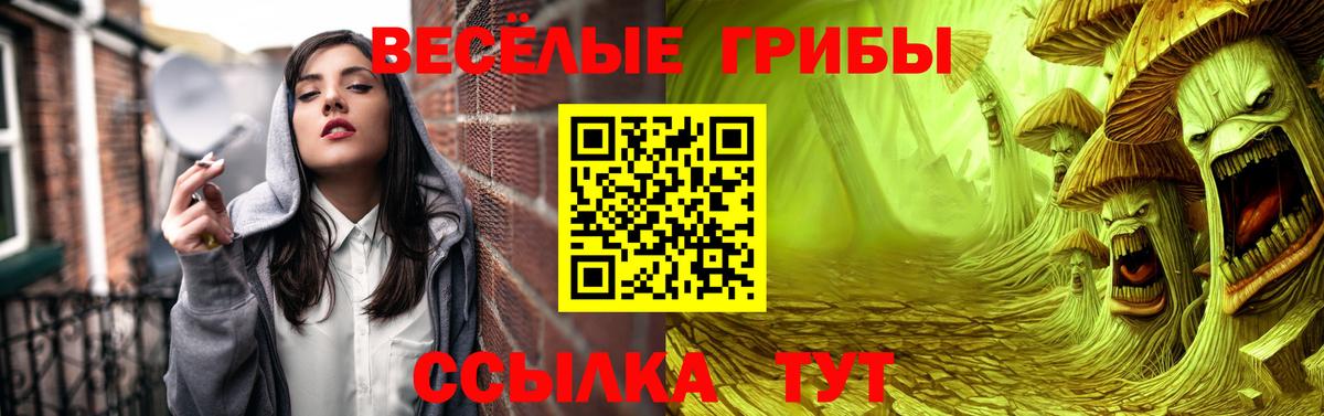 Псилоцибиновые грибы прущие грибы Апатиты