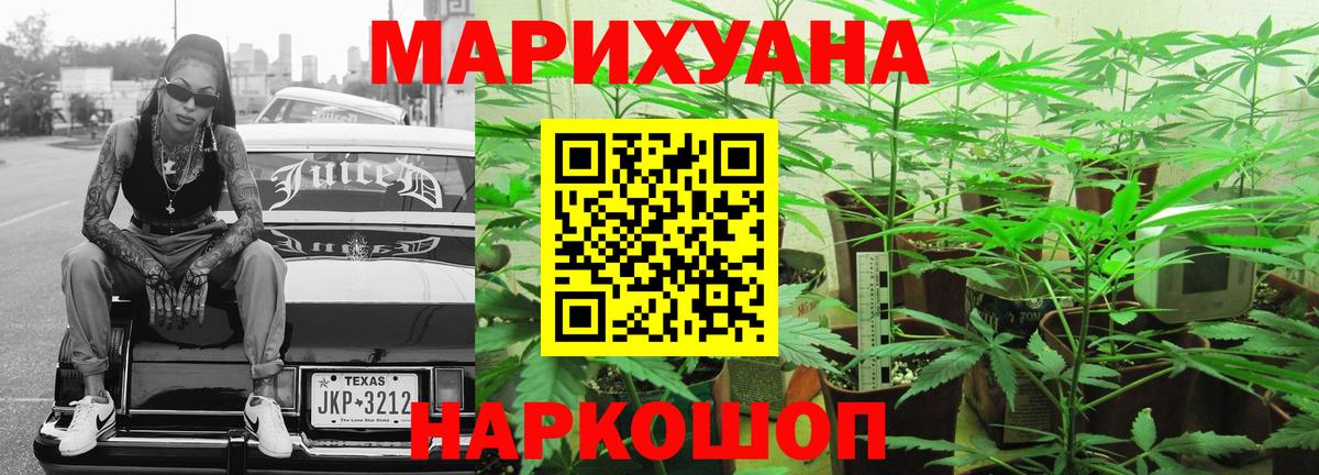 Канабис планчик Апатиты
